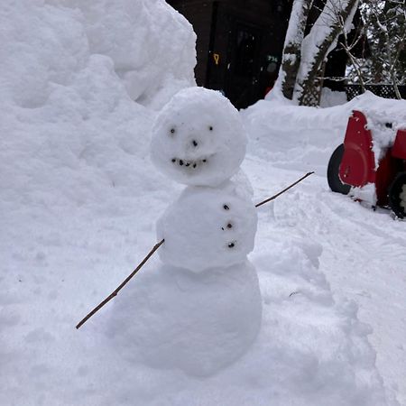 Hakuba Cottage Gram Экстерьер фото
