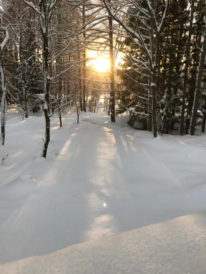 Hakuba Cottage Gram Экстерьер фото