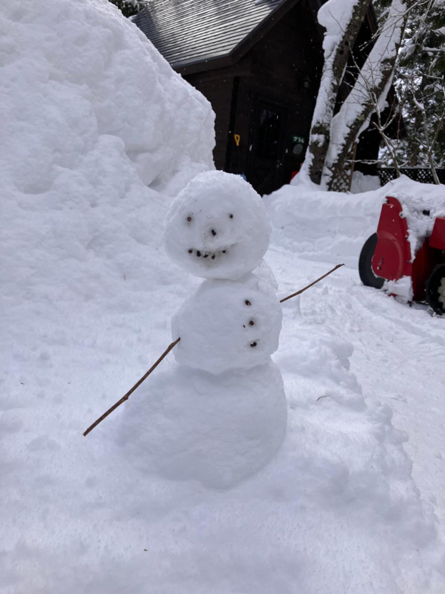 Hakuba Cottage Gram Экстерьер фото