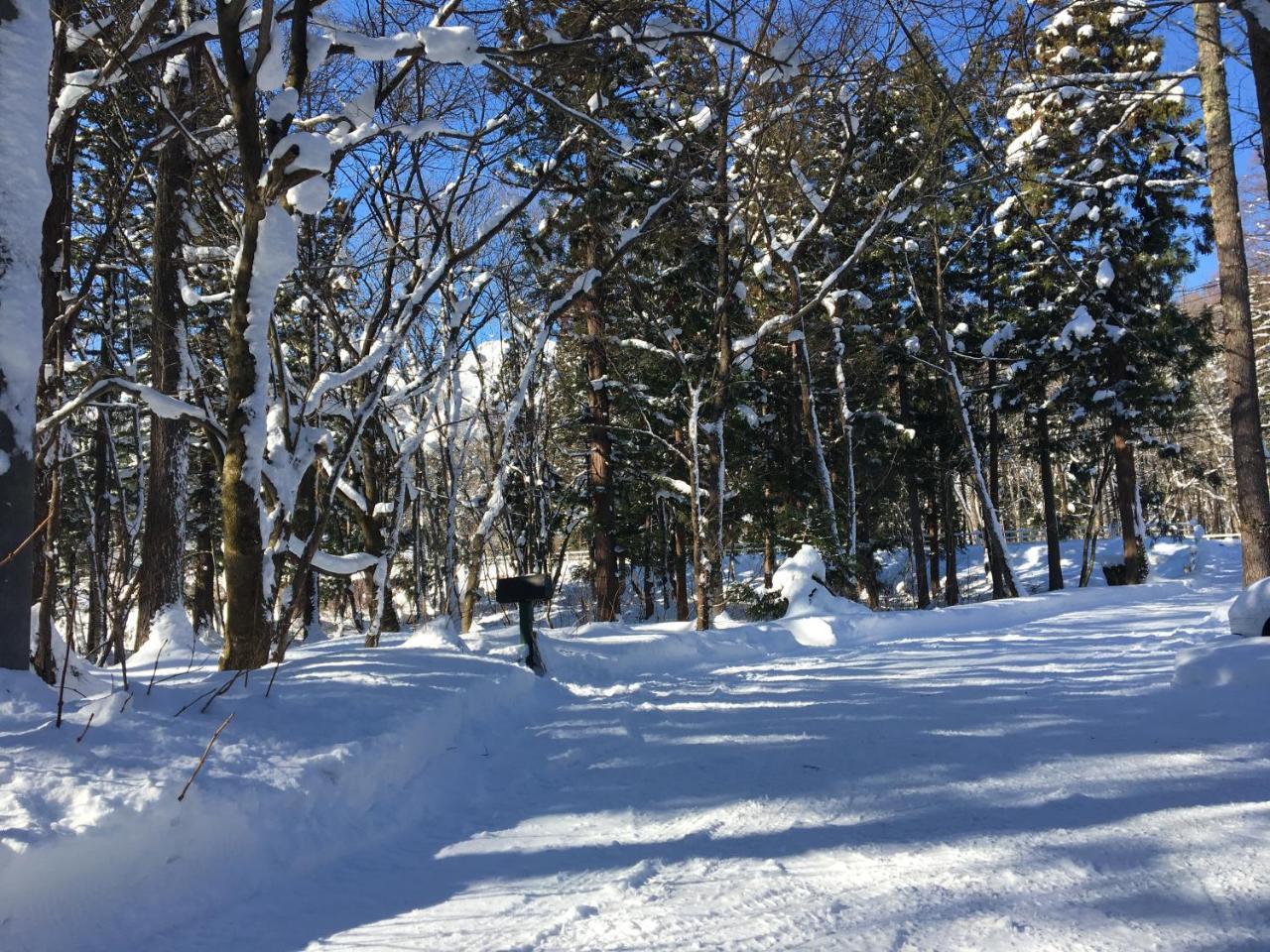 Hakuba Cottage Gram Экстерьер фото
