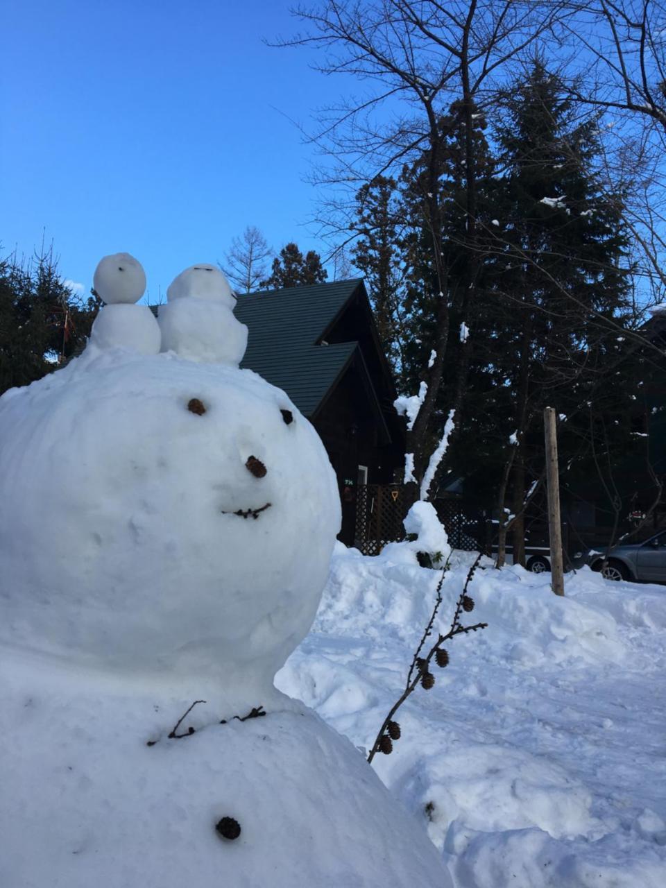 Hakuba Cottage Gram Экстерьер фото