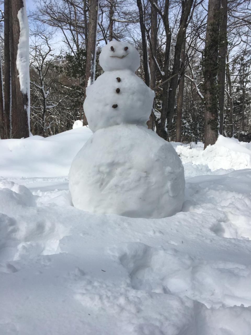 Hakuba Cottage Gram Экстерьер фото
