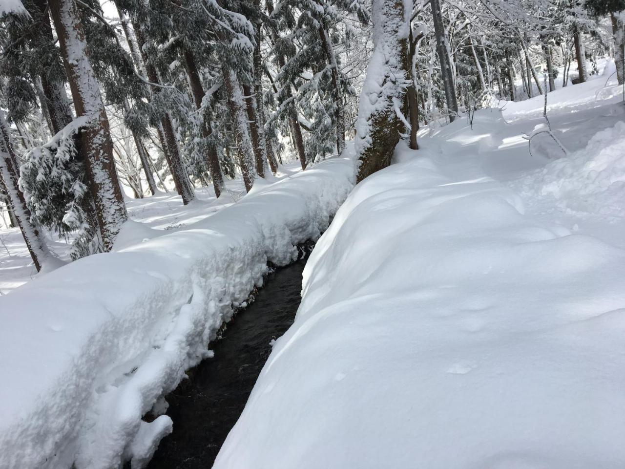Hakuba Cottage Gram Экстерьер фото