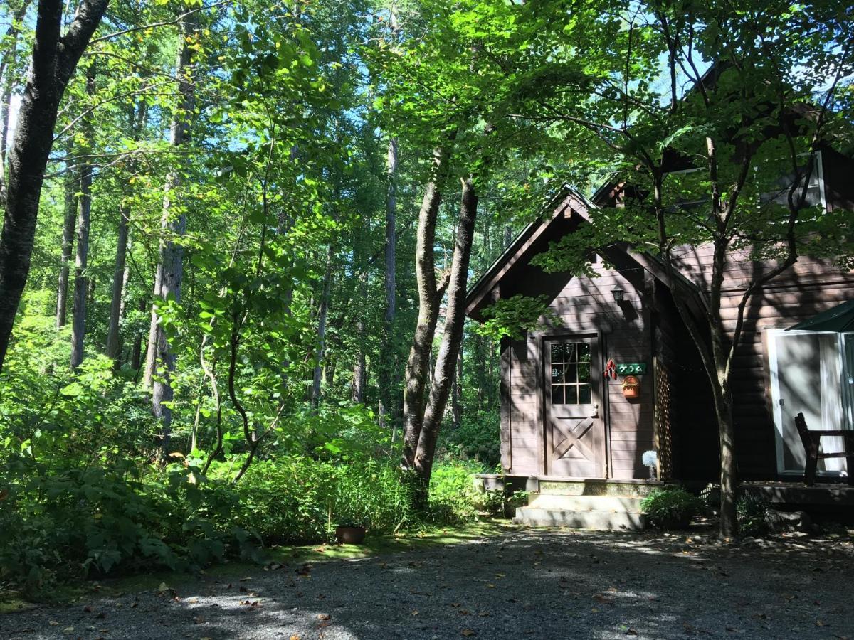 Hakuba Cottage Gram Экстерьер фото