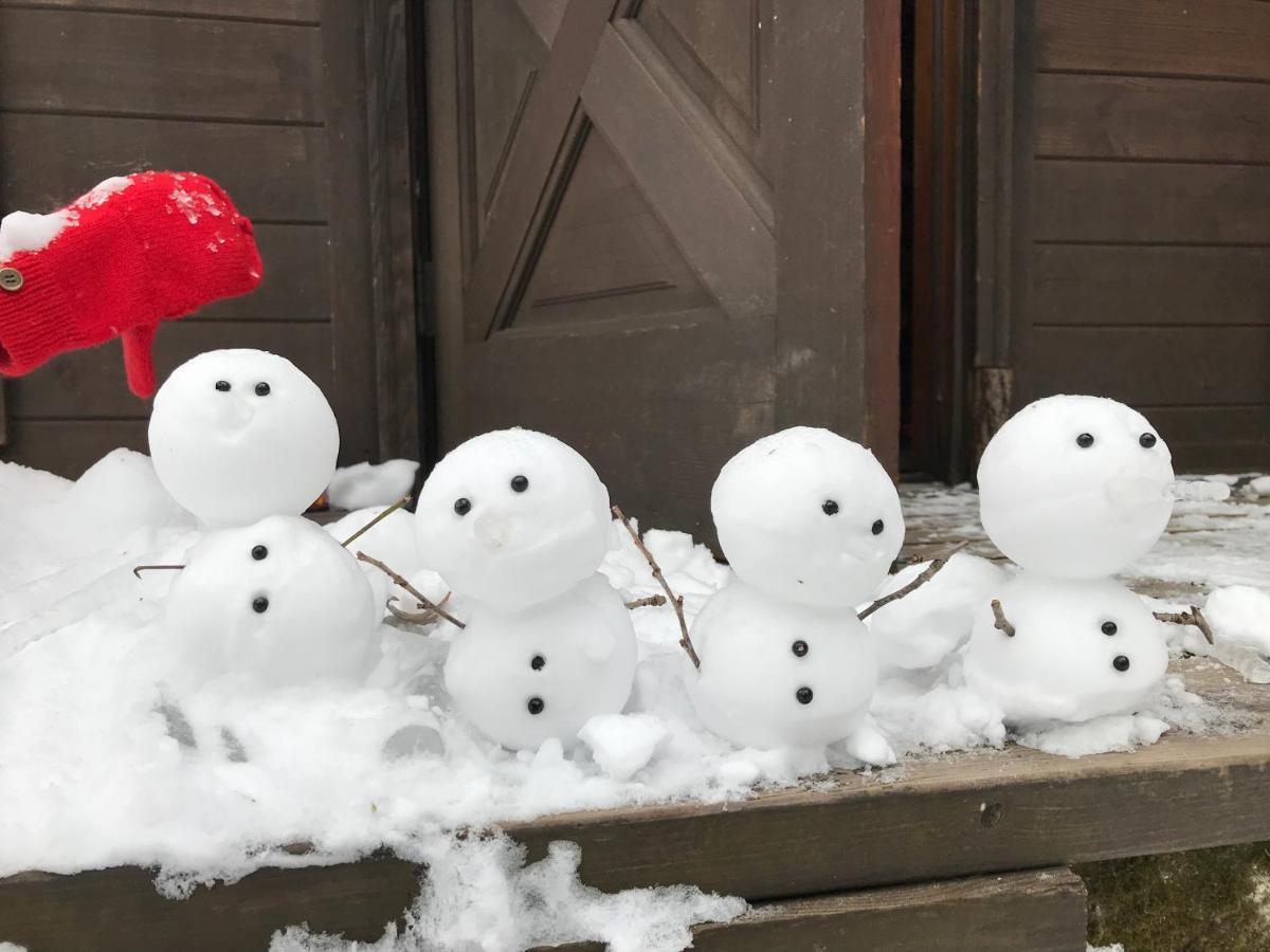 Hakuba Cottage Gram Экстерьер фото